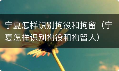 宁夏怎样识别拘役和拘留（宁夏怎样识别拘役和拘留人）