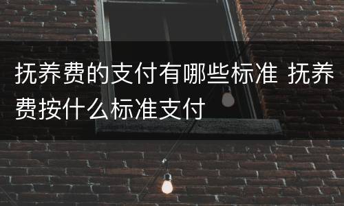 抚养费的支付有哪些标准 抚养费按什么标准支付