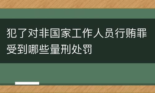 犯了对非国家工作人员行贿罪受到哪些量刑处罚