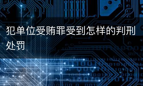 犯单位受贿罪受到怎样的判刑处罚