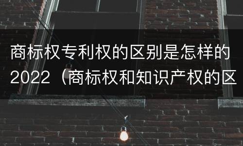 商标权专利权的区别是怎样的2022（商标权和知识产权的区别）