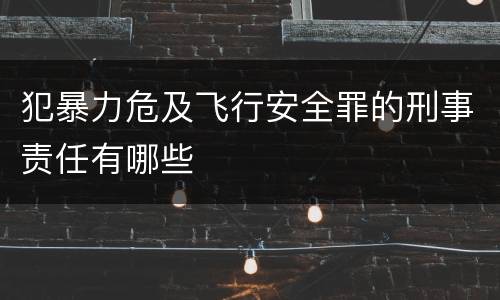 犯暴力危及飞行安全罪的刑事责任有哪些