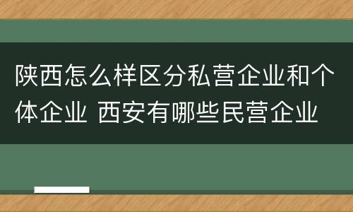 陕西怎么样区分私营企业和个体企业 西安有哪些民营企业