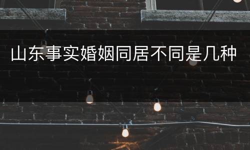 山东事实婚姻同居不同是几种