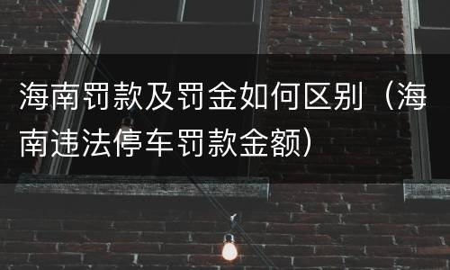 海南罚款及罚金如何区别（海南违法停车罚款金额）