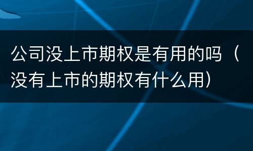 公司没上市期权是有用的吗（没有上市的期权有什么用）
