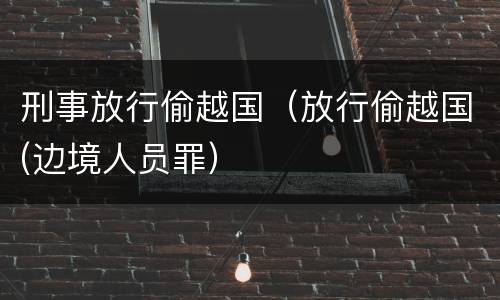 刑事放行偷越国（放行偷越国(边境人员罪）
