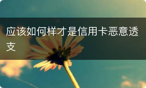 应该如何样才是信用卡恶意透支