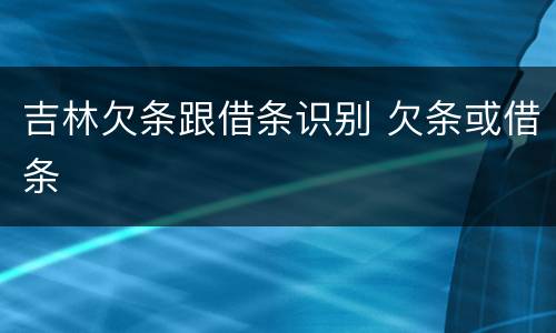 吉林欠条跟借条识别 欠条或借条