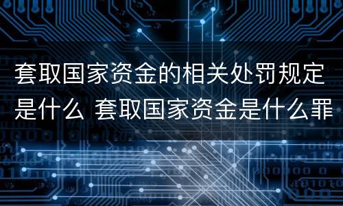 套取国家资金的相关处罚规定是什么 套取国家资金是什么罪