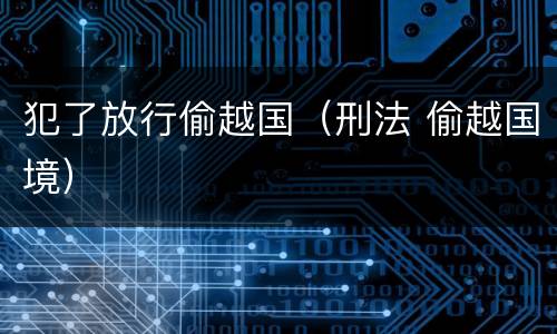 犯了放行偷越国（刑法 偷越国境）