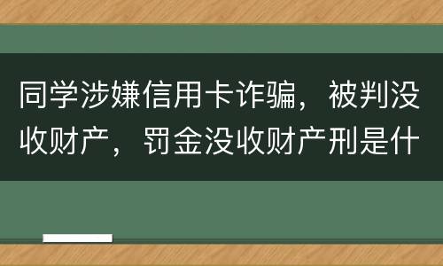 同学涉嫌信用卡诈骗，被判没收财产，罚金没收财产刑是什么
