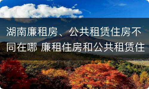 湖南廉租房、公共租赁住房不同在哪 廉租住房和公共租赁住房的区别