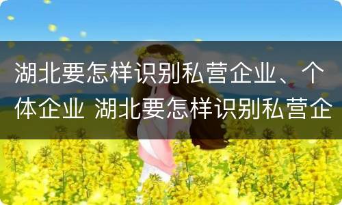 湖北要怎样识别私营企业、个体企业 湖北要怎样识别私营企业,个体企业名录