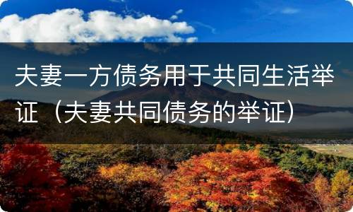 夫妻一方债务用于共同生活举证（夫妻共同债务的举证）