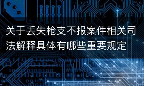 关于丢失枪支不报案件相关司法解释具体有哪些重要规定