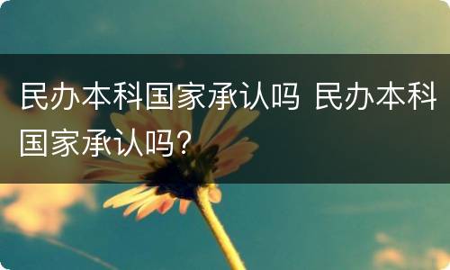 民办本科国家承认吗 民办本科国家承认吗?