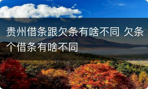 贵州借条跟欠条有啥不同 欠条个借条有啥不同