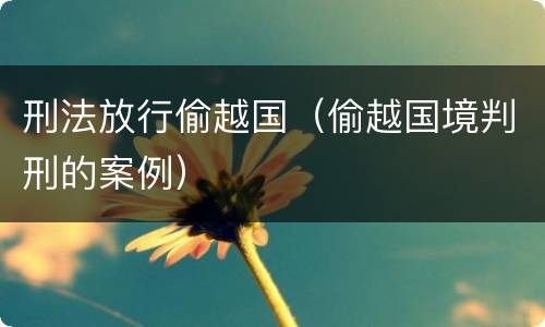 刑法放行偷越国（偷越国境判刑的案例）