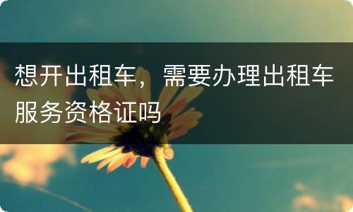 想开出租车，需要办理出租车服务资格证吗