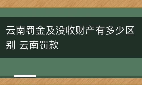 云南罚金及没收财产有多少区别 云南罚款