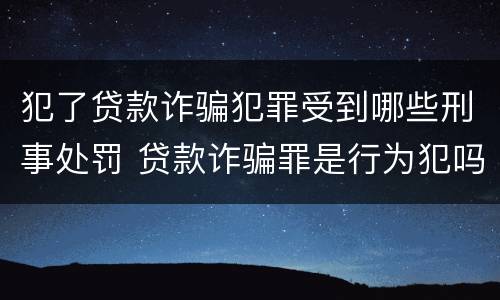 犯了贷款诈骗犯罪受到哪些刑事处罚 贷款诈骗罪是行为犯吗
