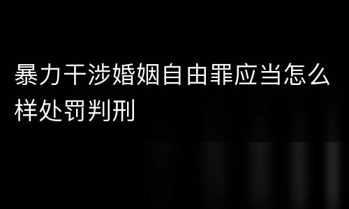 暴力干涉婚姻自由罪应当怎么样处罚判刑