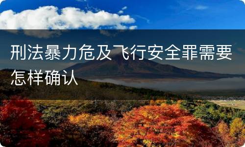 刑法暴力危及飞行安全罪需要怎样确认