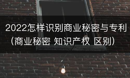 2022怎样识别商业秘密与专利（商业秘密 知识产权 区别）