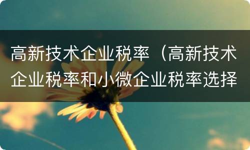 高新技术企业税率（高新技术企业税率和小微企业税率选择）
