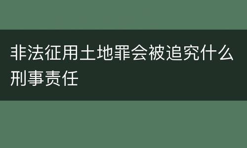 非法征用土地罪会被追究什么刑事责任