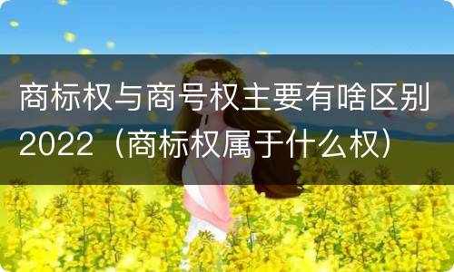 商标权与商号权主要有啥区别2022（商标权属于什么权）