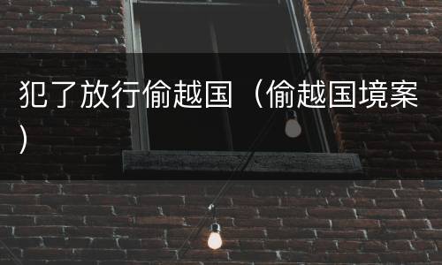 犯了放行偷越国（偷越国境案）