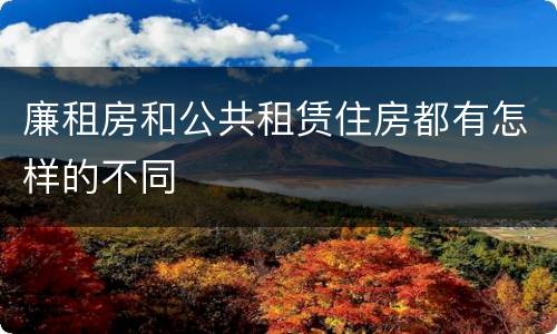 廉租房和公共租赁住房都有怎样的不同