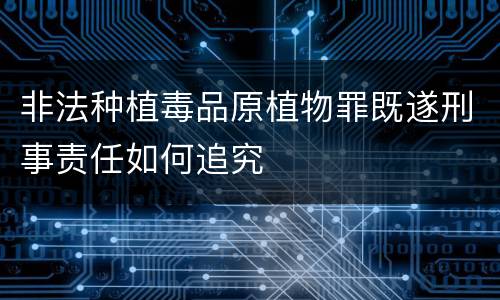 非法种植毒品原植物罪既遂刑事责任如何追究