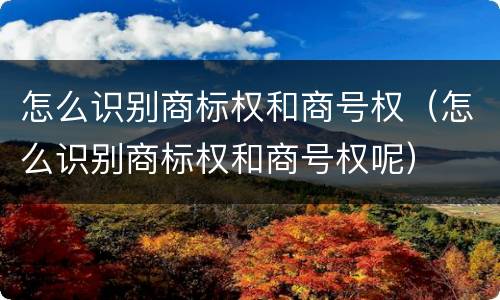 怎么识别商标权和商号权（怎么识别商标权和商号权呢）
