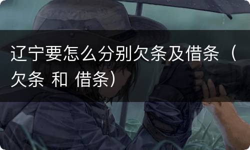 辽宁要怎么分别欠条及借条（欠条 和 借条）