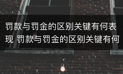 罚款与罚金的区别关键有何表现 罚款与罚金的区别关键有何表现和联系
