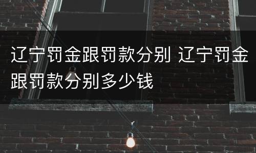 辽宁罚金跟罚款分别 辽宁罚金跟罚款分别多少钱