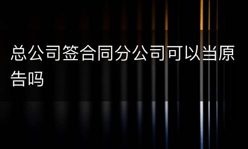 总公司签合同分公司可以当原告吗