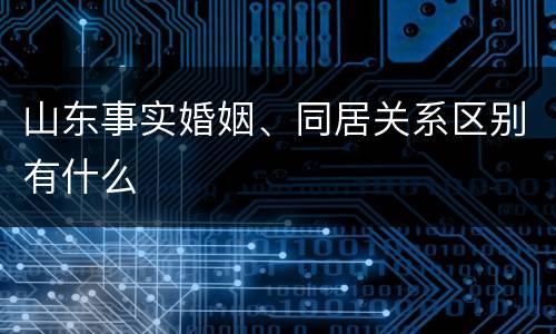 山东事实婚姻、同居关系区别有什么