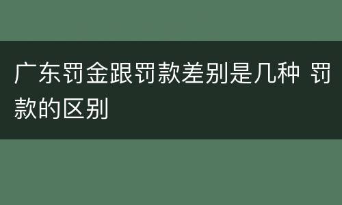 广东罚金跟罚款差别是几种 罚款的区别