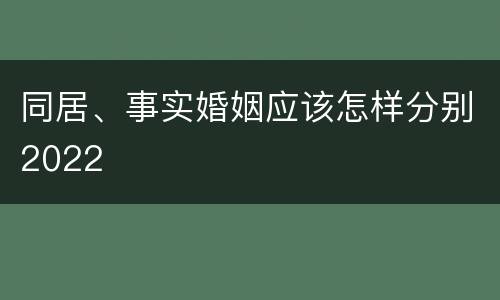 同居、事实婚姻应该怎样分别2022