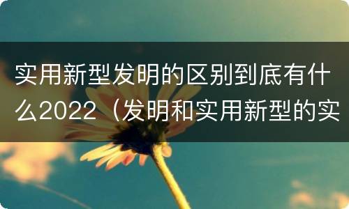 实用新型发明的区别到底有什么2022（发明和实用新型的实用性）