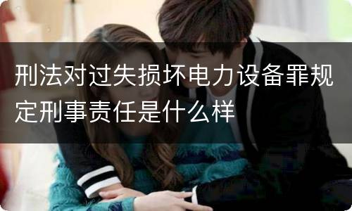刑法对过失损坏电力设备罪规定刑事责任是什么样