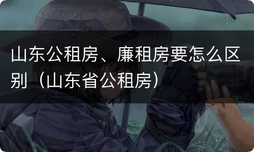 山东公租房、廉租房要怎么区别（山东省公租房）