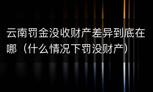 云南罚金没收财产差异到底在哪（什么情况下罚没财产）