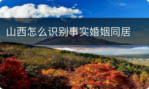 山西怎么识别事实婚姻同居