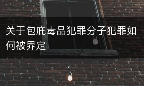 关于包庇毒品犯罪分子犯罪如何被界定
