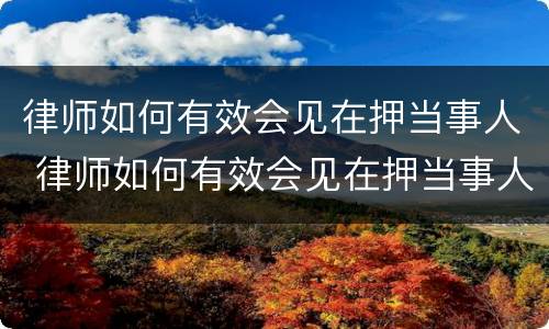 律师如何有效会见在押当事人 律师如何有效会见在押当事人的人